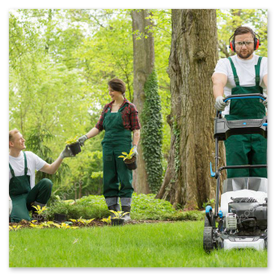 Rasenpflege mit Mäher