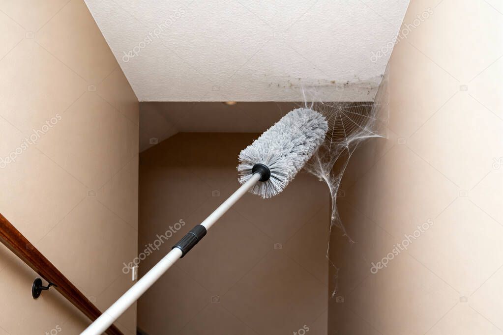 Gründliche Treppenhausreinigung in Mehrfamilienhaus